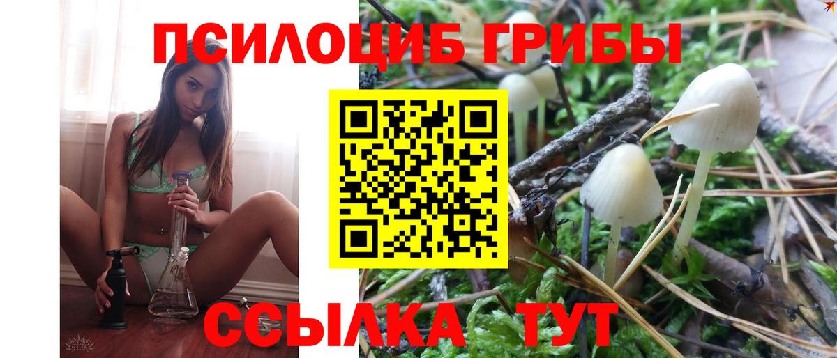 Бутурлиновка  Псилоцибиновые грибы Psilocybine cubensis  Вход с VPN  Псилоцибиновые грибы мухоморы 