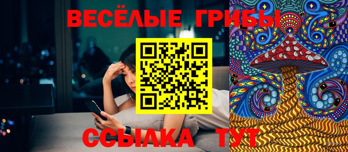 Галлюциногенные грибы Magic Shrooms Бутурлиновка